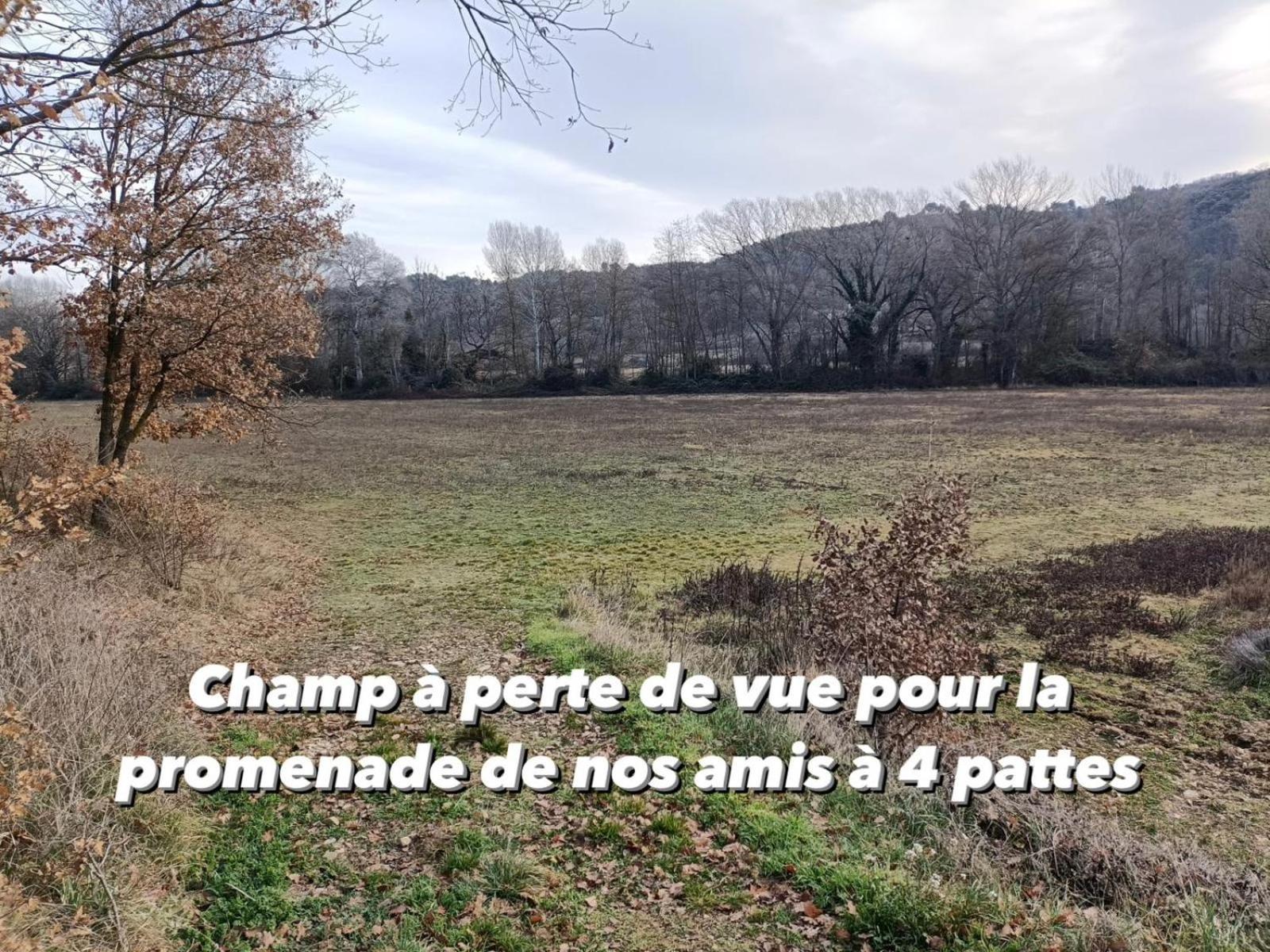 Gite Avec Terrasse Privee Proche Des Gorges Du Verdon 普罗旺斯地区阿莱马尼 外观 照片